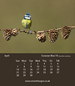 photo by Oliver Smart